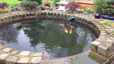 Pond Cleaning Rochdale | Pond Maintenance