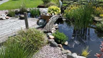 Pond Cleans Rochdale