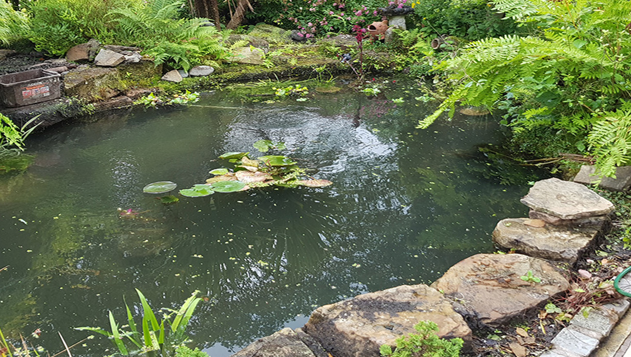 pond cleaning rochdale